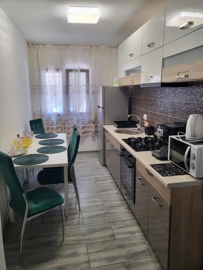 Apartament Nectaria Băile Herculane エクステリア 写真