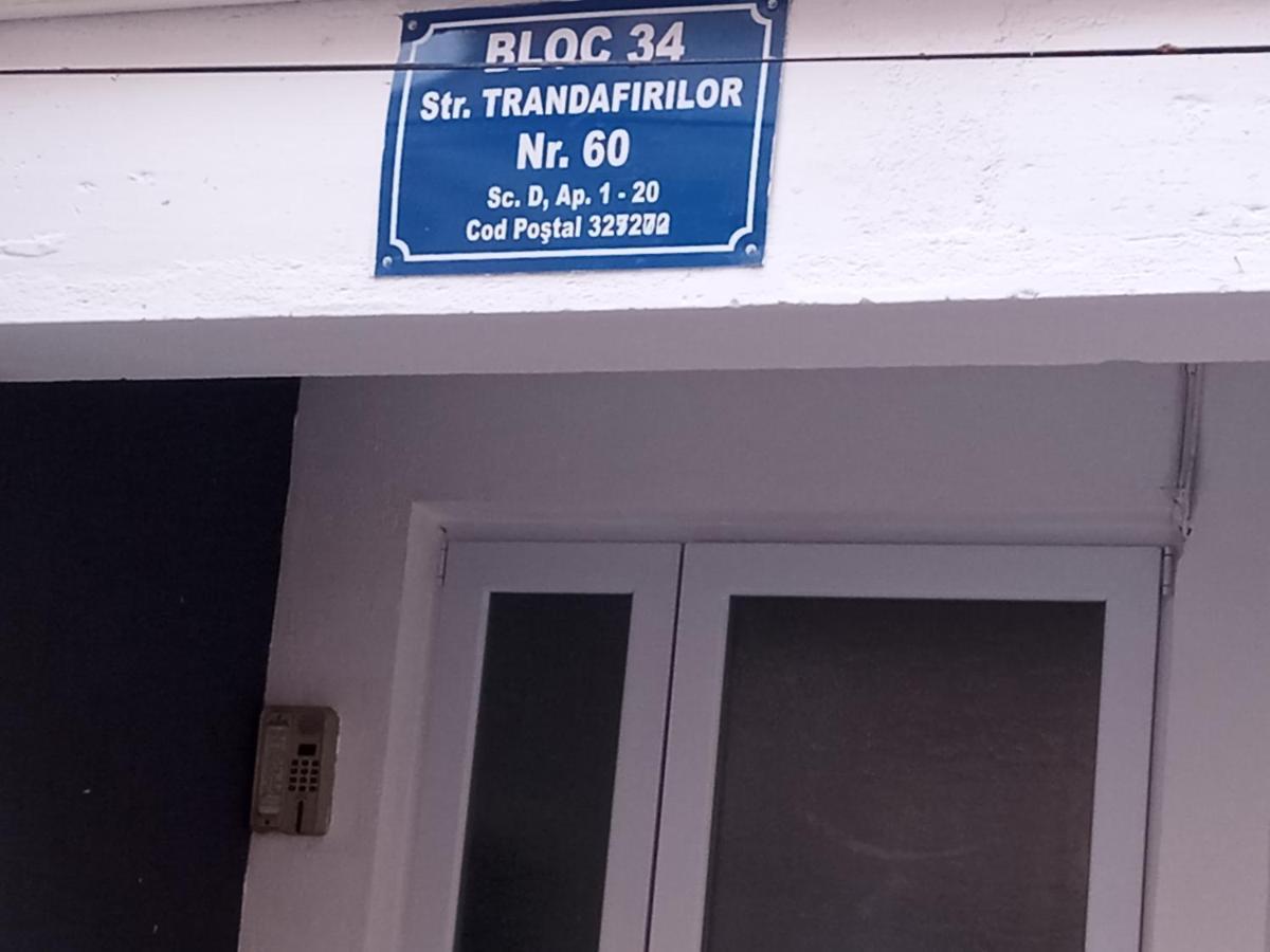 Apartament Nectaria Băile Herculane エクステリア 写真