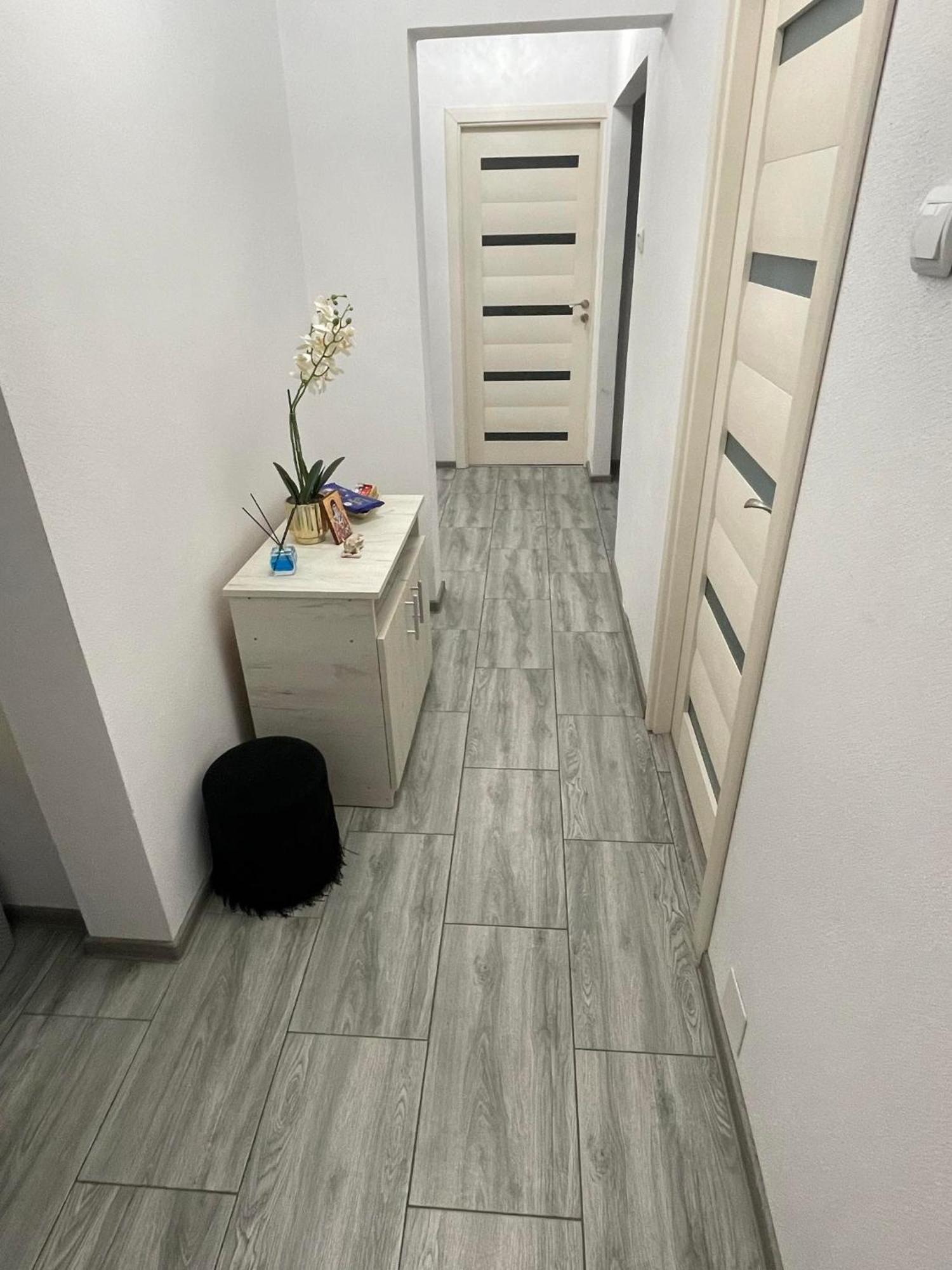 Apartament Nectaria Băile Herculane エクステリア 写真