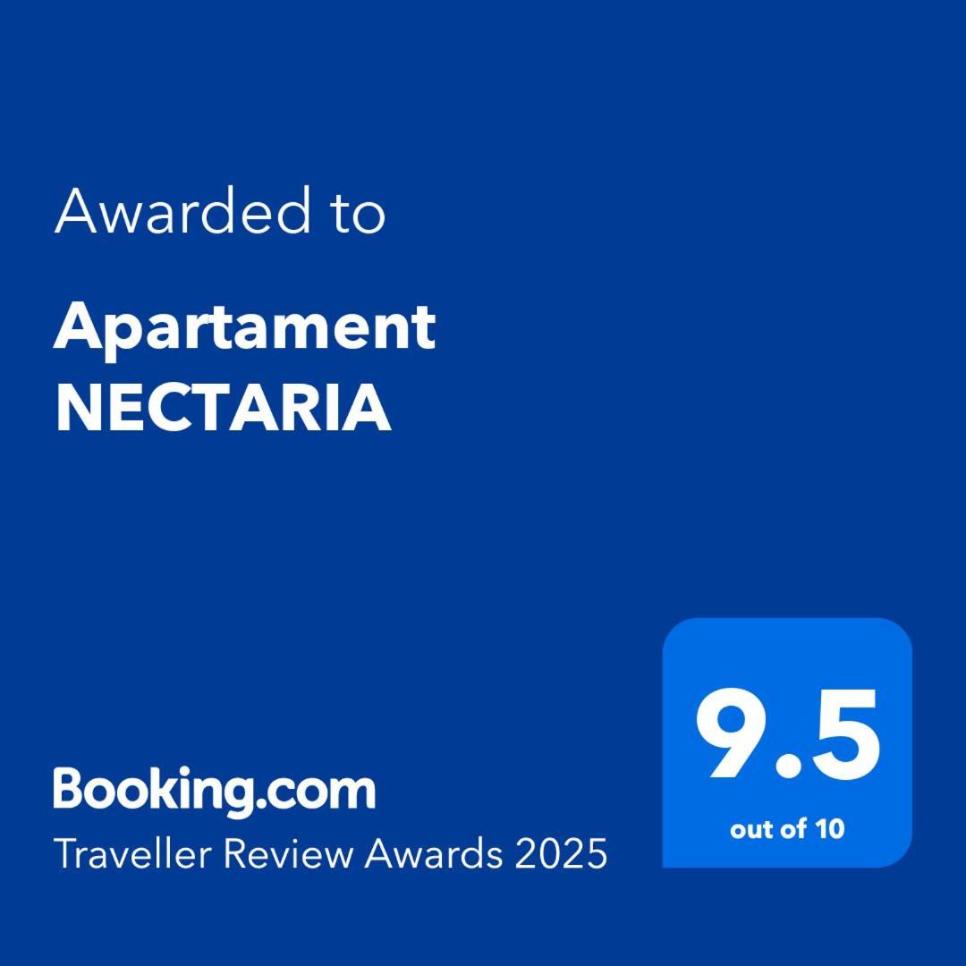 Apartament Nectaria Băile Herculane エクステリア 写真